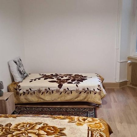 Grand 4P Strasbourg Orangerie 7 Personnes Proche D Allemagne Εξωτερικό φωτογραφία