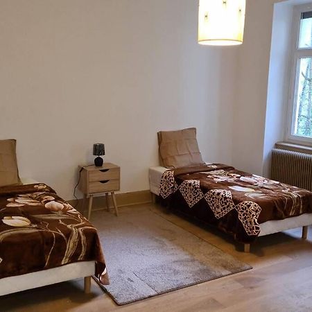 Grand 4P Strasbourg Orangerie 7 Personnes Proche D Allemagne Εξωτερικό φωτογραφία