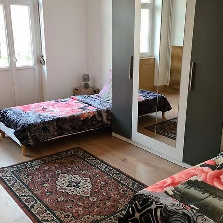 Grand 4P Strasbourg Orangerie 7 Personnes Proche D Allemagne Εξωτερικό φωτογραφία