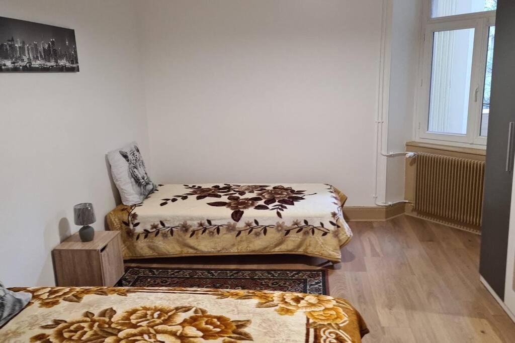 Grand 4P Strasbourg Orangerie 7 Personnes Proche D Allemagne Εξωτερικό φωτογραφία