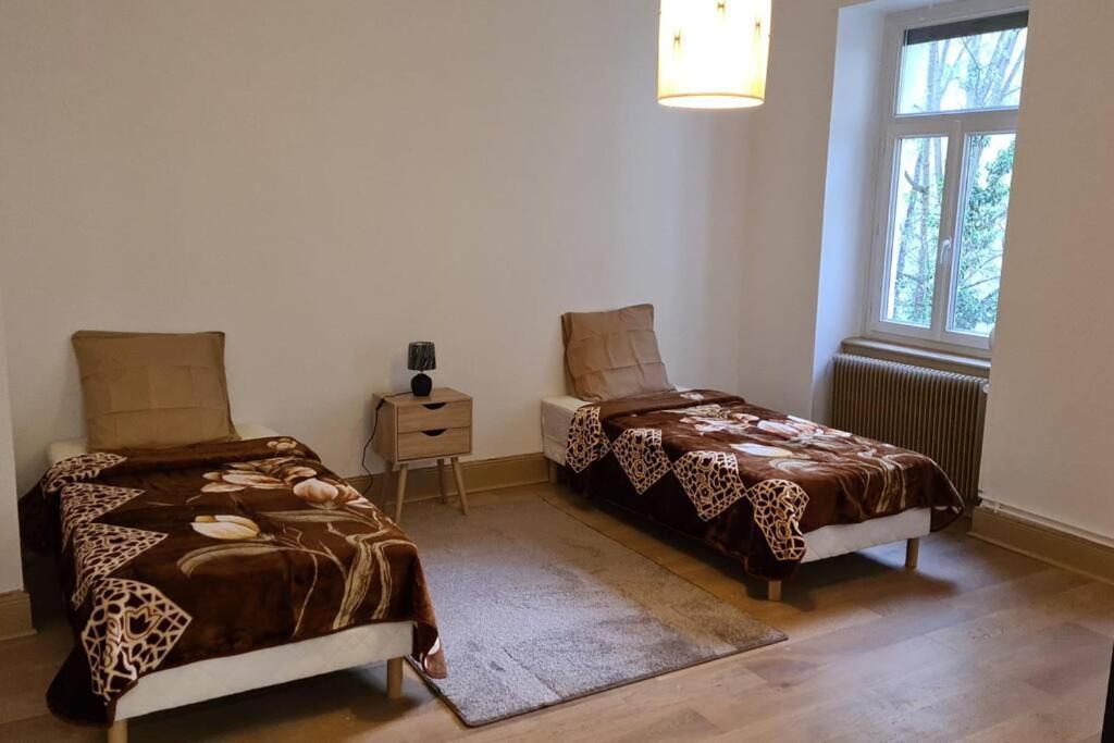 Grand 4P Strasbourg Orangerie 7 Personnes Proche D Allemagne Εξωτερικό φωτογραφία
