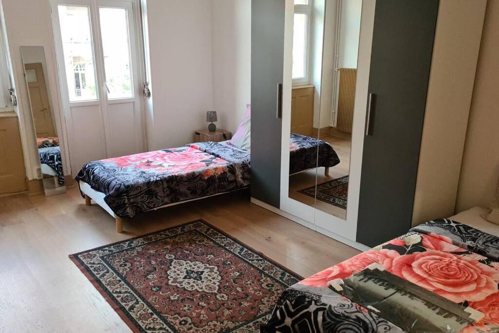Grand 4P Strasbourg Orangerie 7 Personnes Proche D Allemagne Εξωτερικό φωτογραφία