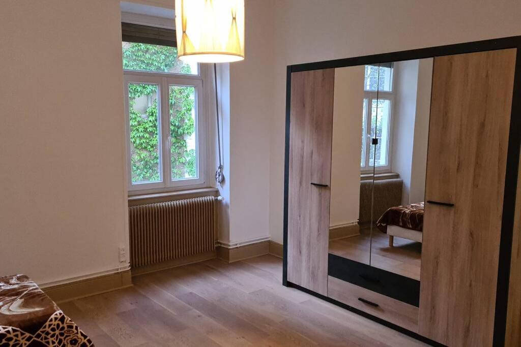Grand 4P Strasbourg Orangerie 7 Personnes Proche D Allemagne Εξωτερικό φωτογραφία